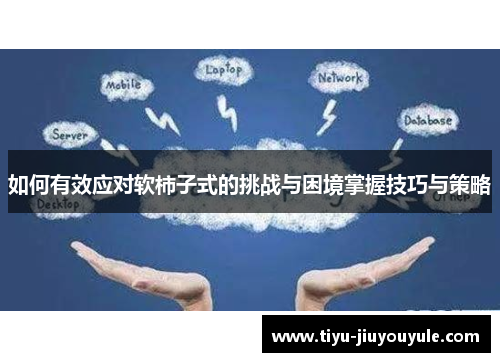 如何有效应对软柿子式的挑战与困境掌握技巧与策略
