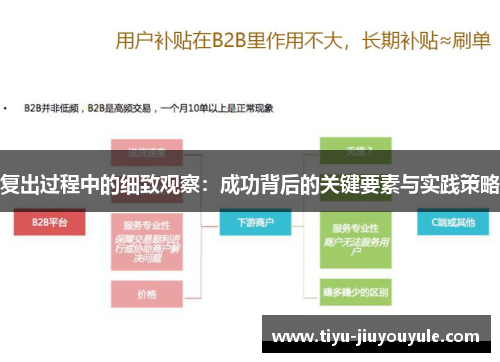 复出过程中的细致观察：成功背后的关键要素与实践策略