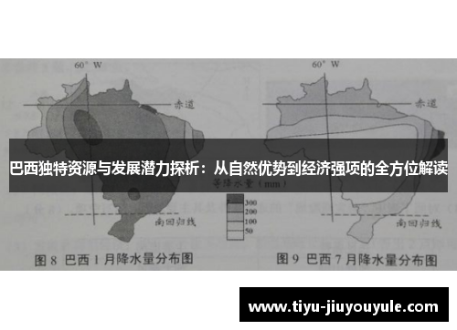 巴西独特资源与发展潜力探析：从自然优势到经济强项的全方位解读