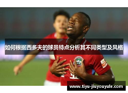 如何根据西多夫的球员特点分析其不同类型及风格